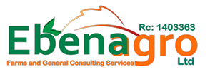 Ebena Agro logo