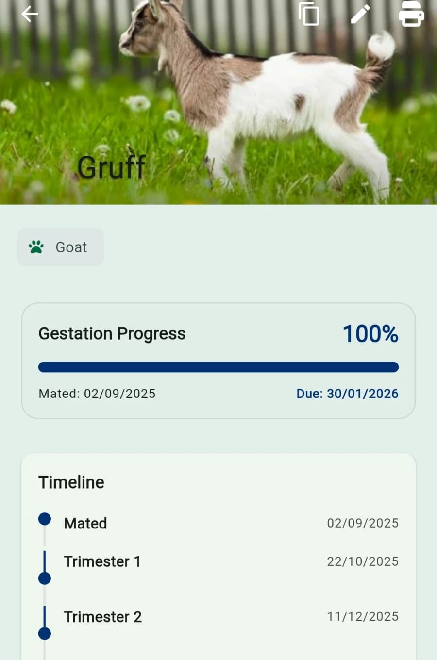 Gestimator gestation progress and timeline detail